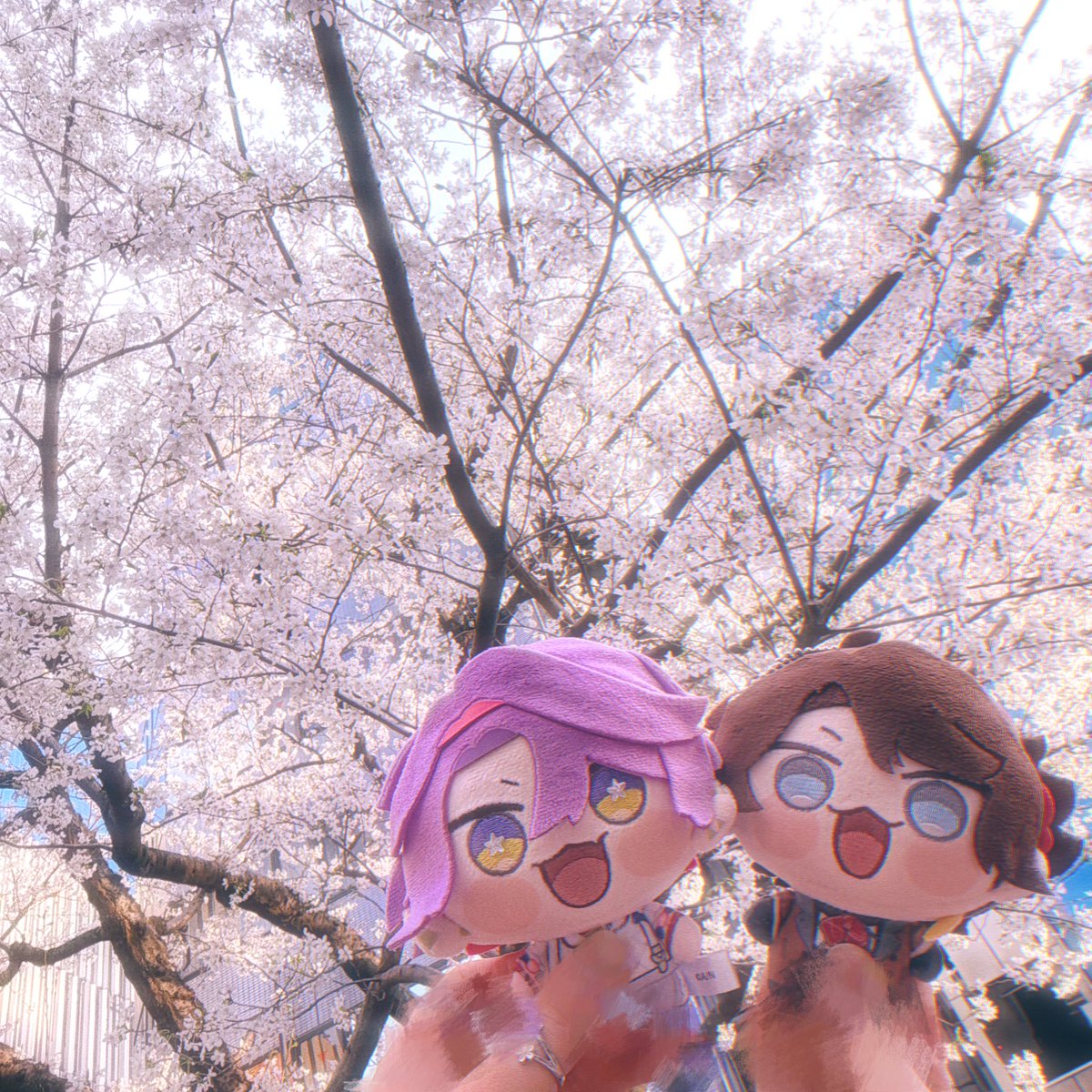 ゆちゃ tweet media