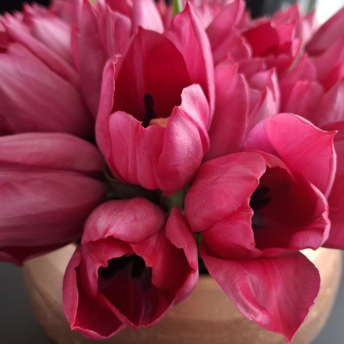 Geniet van het Leven tweet media