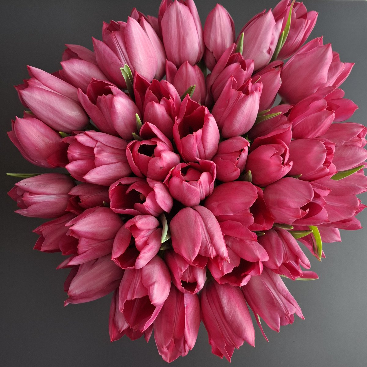 Geniet van het Leven tweet media