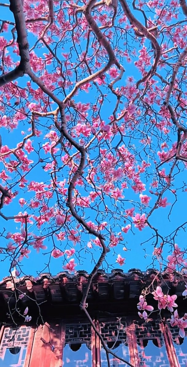 林立 tweet media