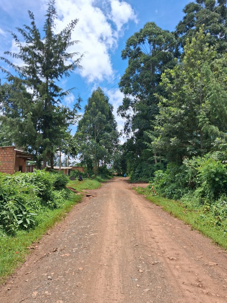 Kiptoo Brian tweet media