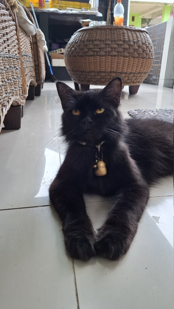 Fandhy Achmad R tweet media