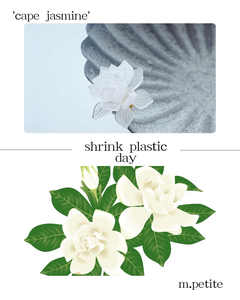 🌸デザフェス63 南館4F R-28 5/23(土)24 (日)両日参加🌸 tweet media