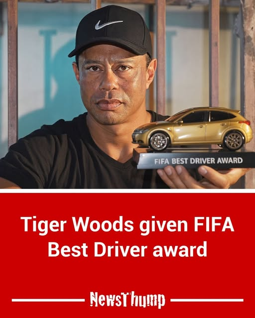 dave lawrence 🐟🐟🐠 tweet media