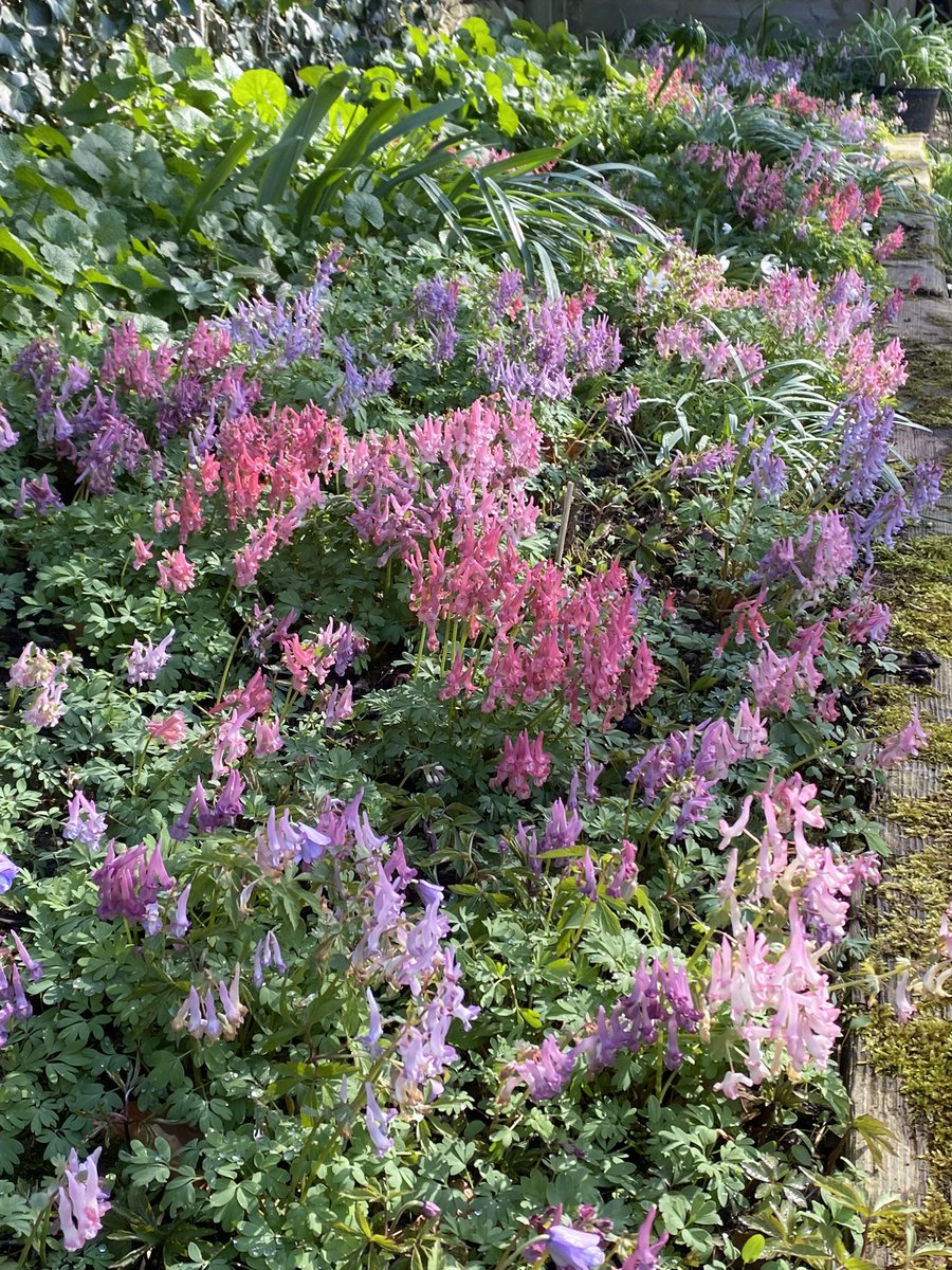 Michael Myers tweet media