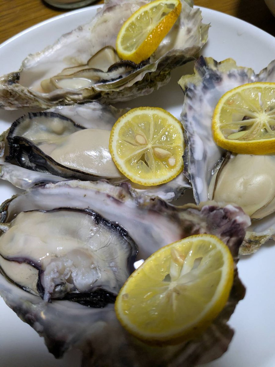 サブロック360🎸 tweet media