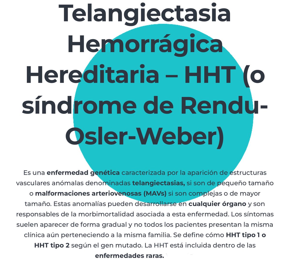 RarasNoInvisibles tweet media