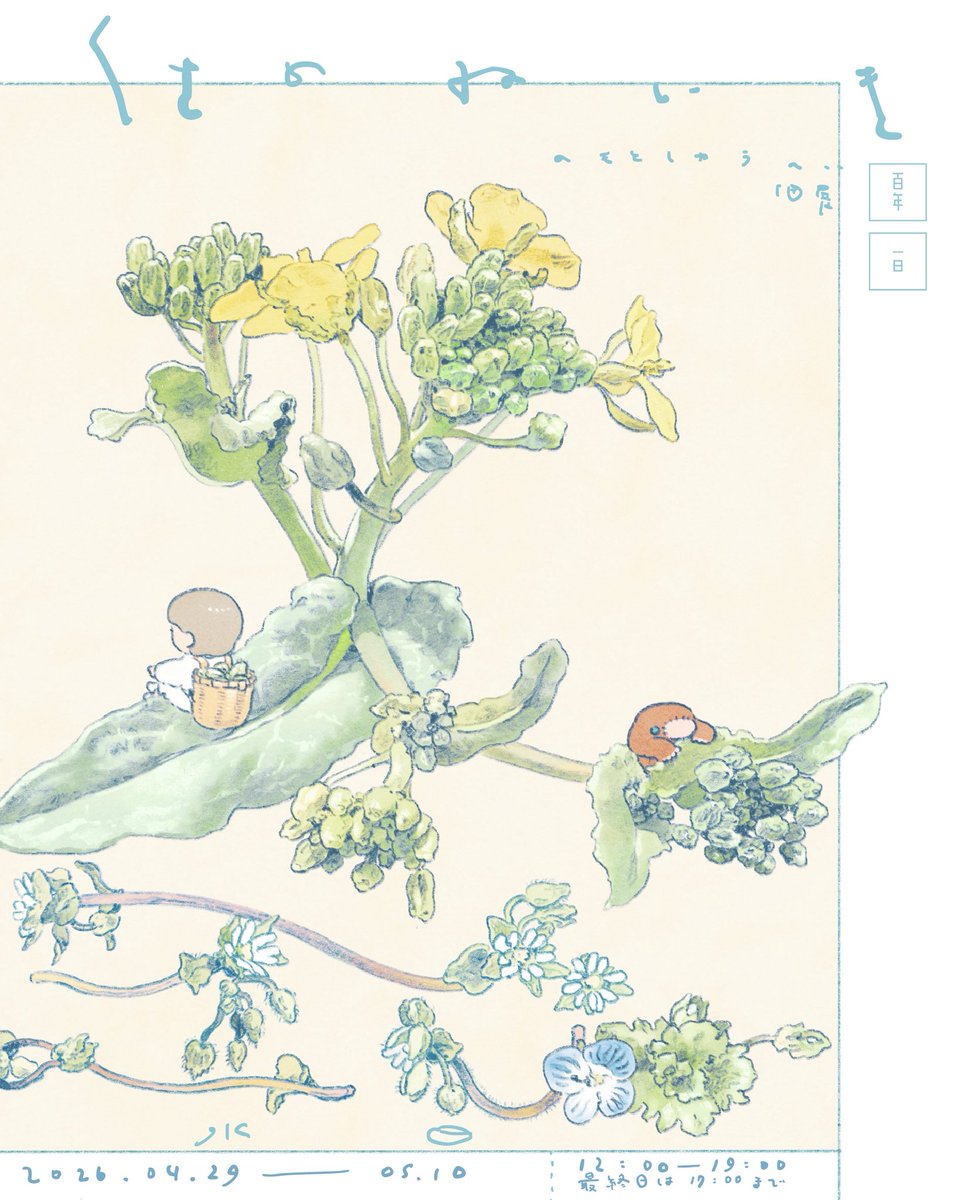 shuunomo's tweet photo. 🕊️個展をひらきます

のもとしゅうへい個展『くさのねいき』

会期｜2026年4月29日（水）- 5月10日（日）※火曜定休、最終日は17:00まで
場所｜古本屋 百年・一日（吉祥寺）

春から通いはじめた小さな畑。緑のざわめき。光の気配。季節をめぐる、草花の絵の新作たちを持っていきます。もちろん本も。 https://t.co/6YZpxlXOMQ