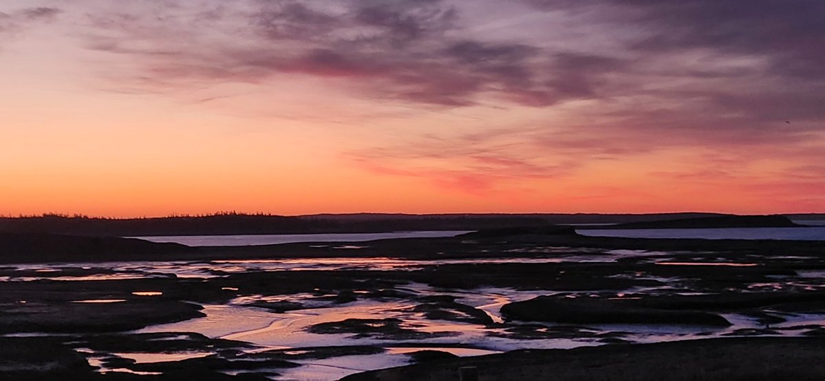Corbin by the Coast 🇨🇦 tweet media