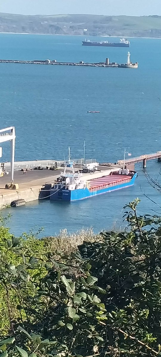 Justyn Ayton tweet media