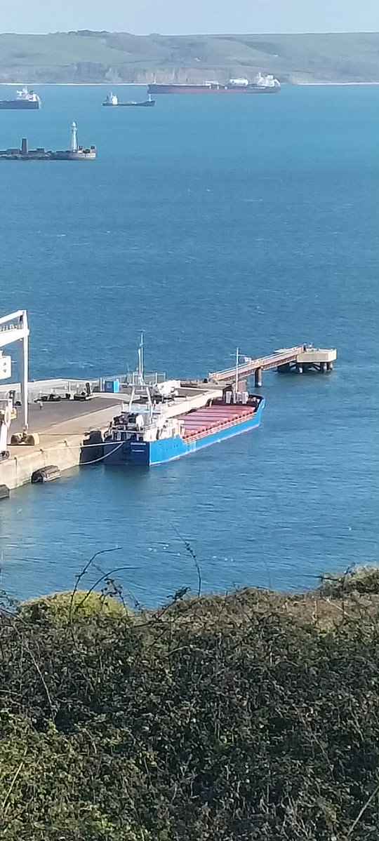 Justyn Ayton tweet media