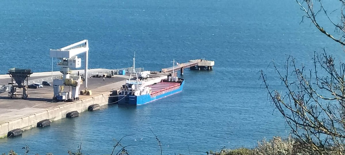 Justyn Ayton tweet media