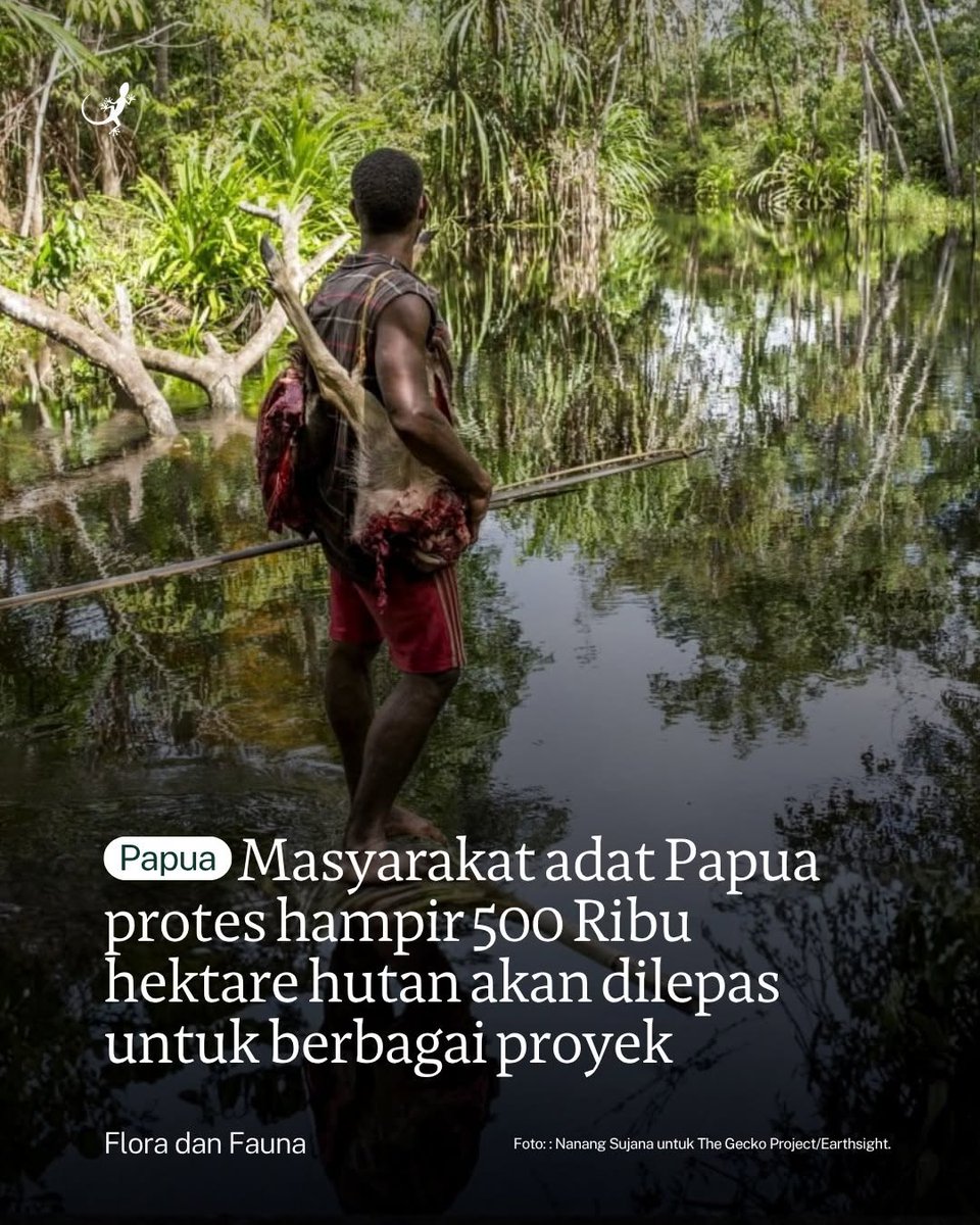 Denni Sauya tweet media