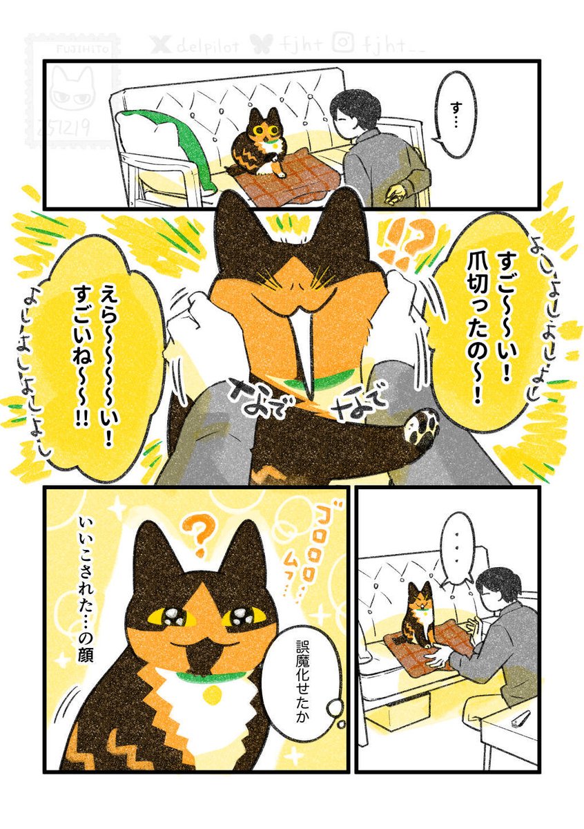 爪切りを頑張る猫 (4/5) 