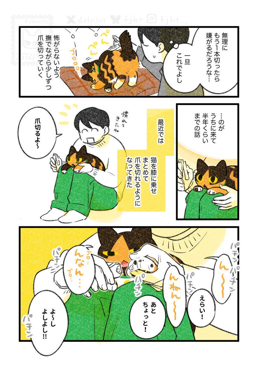 爪切りを頑張る猫 (4/5) 