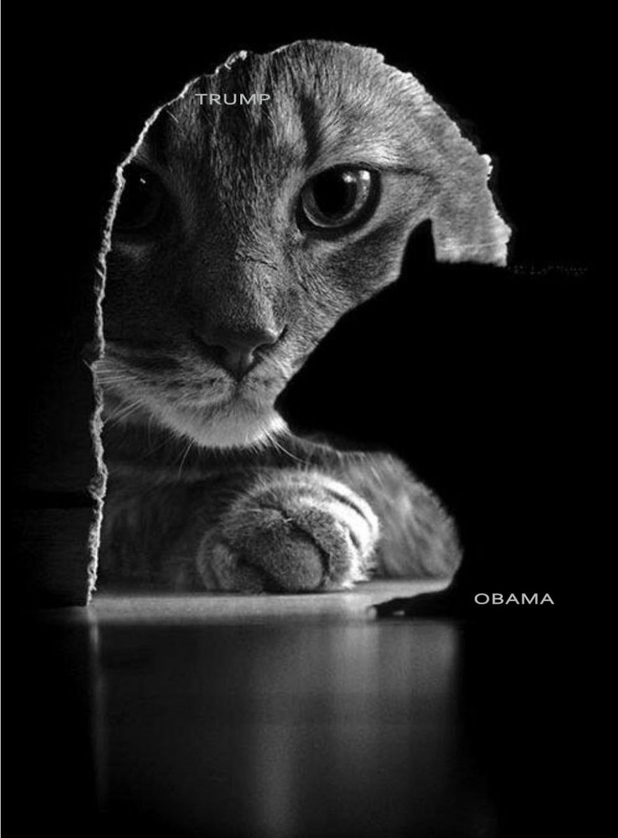 Manuel R. Tesar tweet media