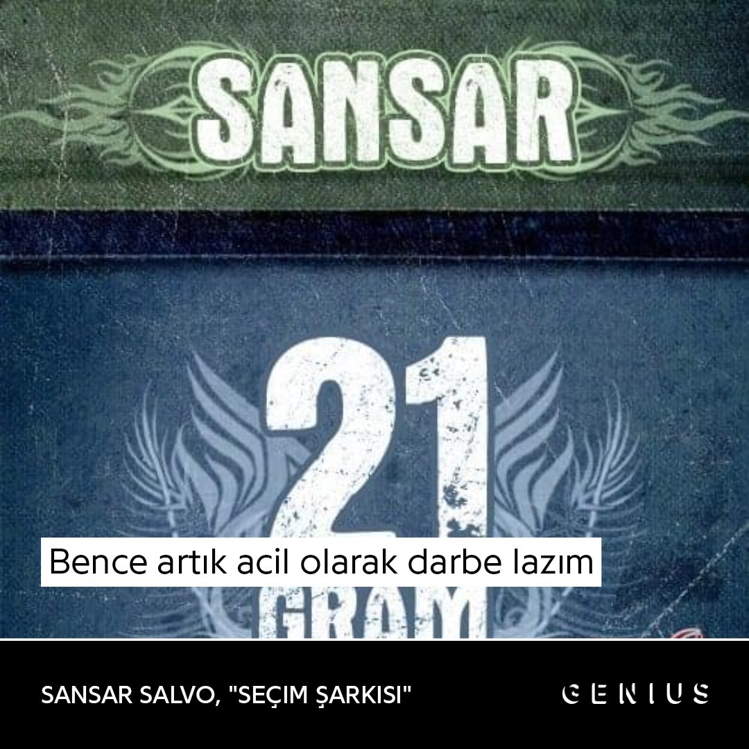 Sceafa 🦇 #1312 🇬🇧 tweet media