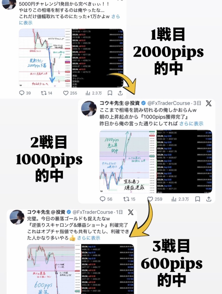 コウキ先生@投資 tweet media