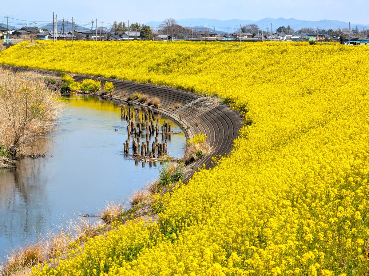 ドライブ400 tweet media