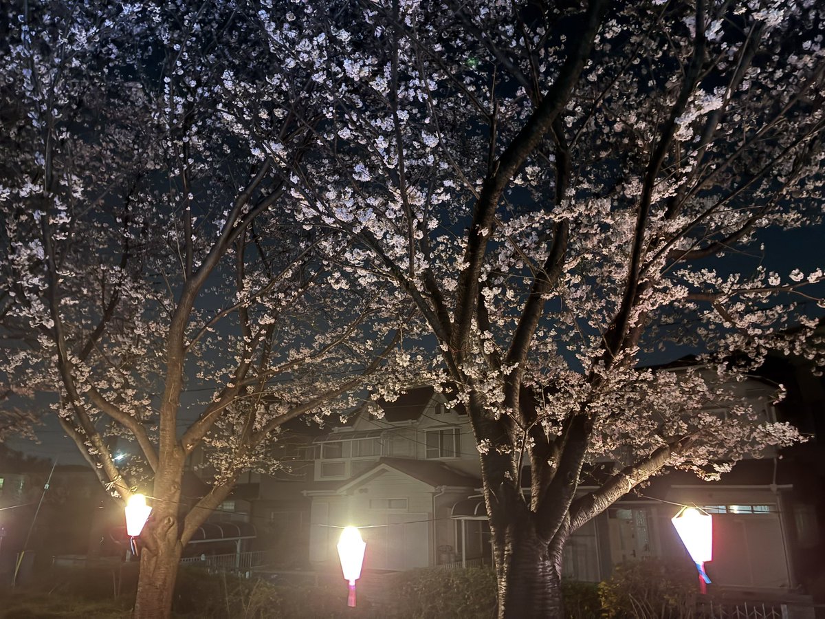 SS熊本|まちゃぼー(machabo) tweet media