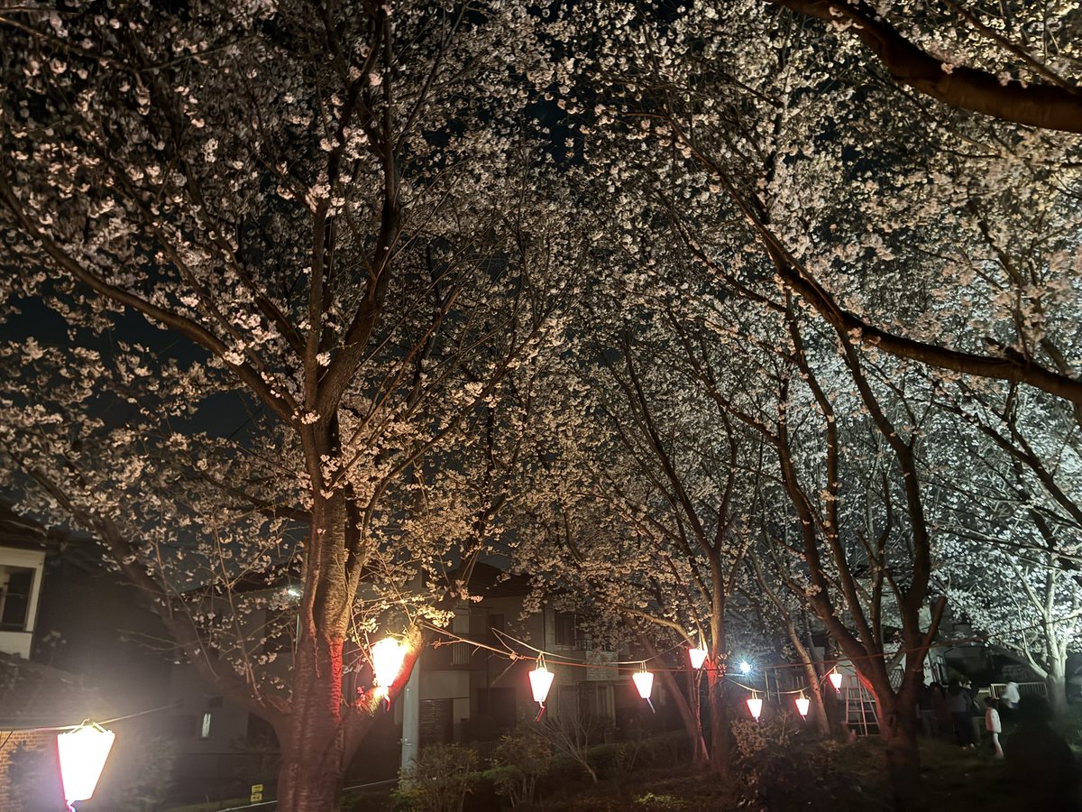 SS熊本|まちゃぼー(machabo) tweet media