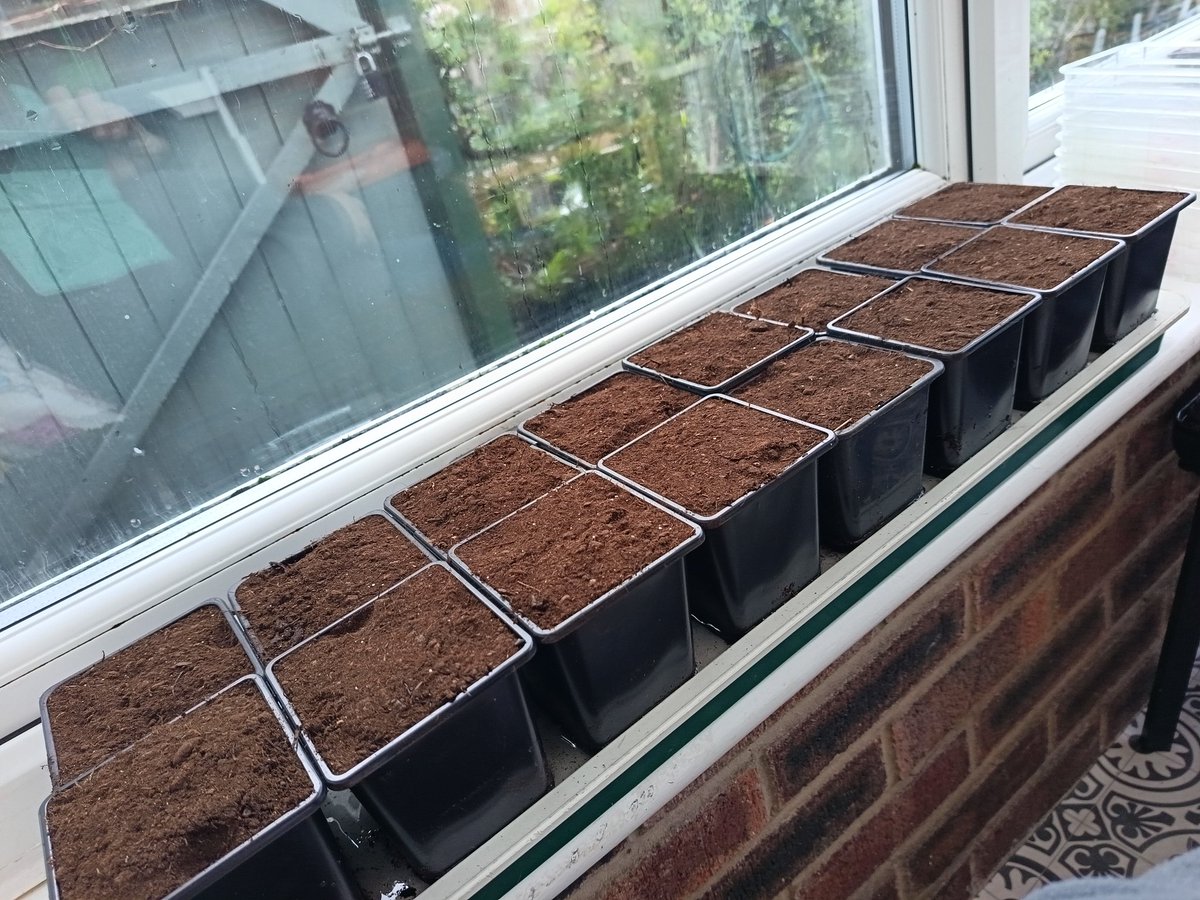 Rosemary Cottage Hook NGS tweet media