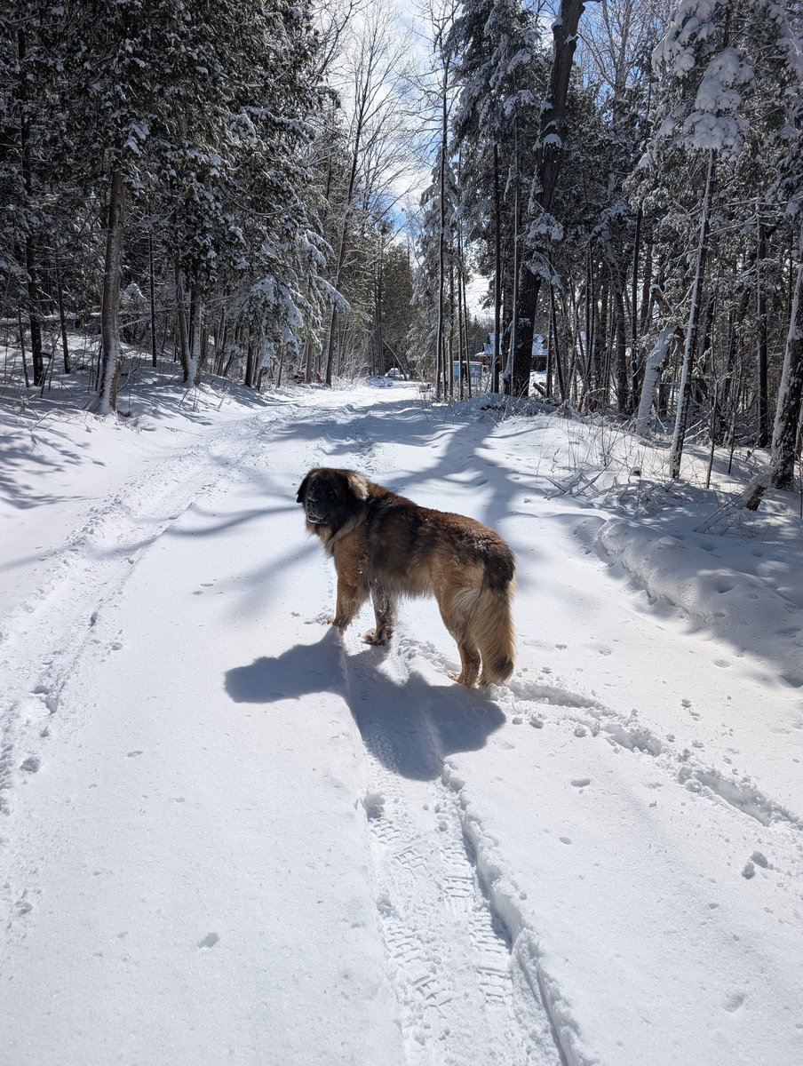 David_Fishmun tweet media