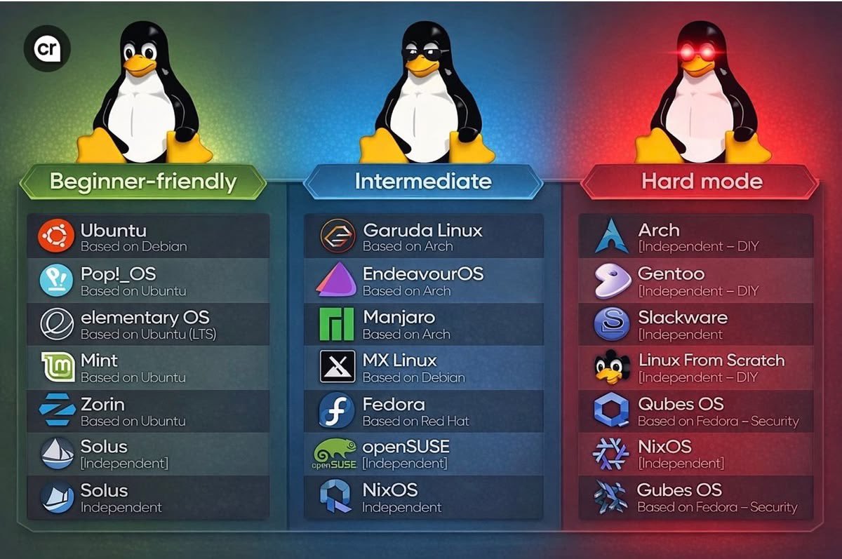 Cyber_Racheal tweet media