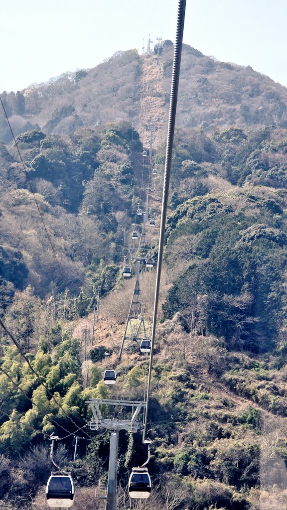 주로먹는사람 tweet media