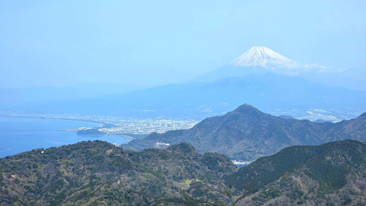 주로먹는사람 tweet media