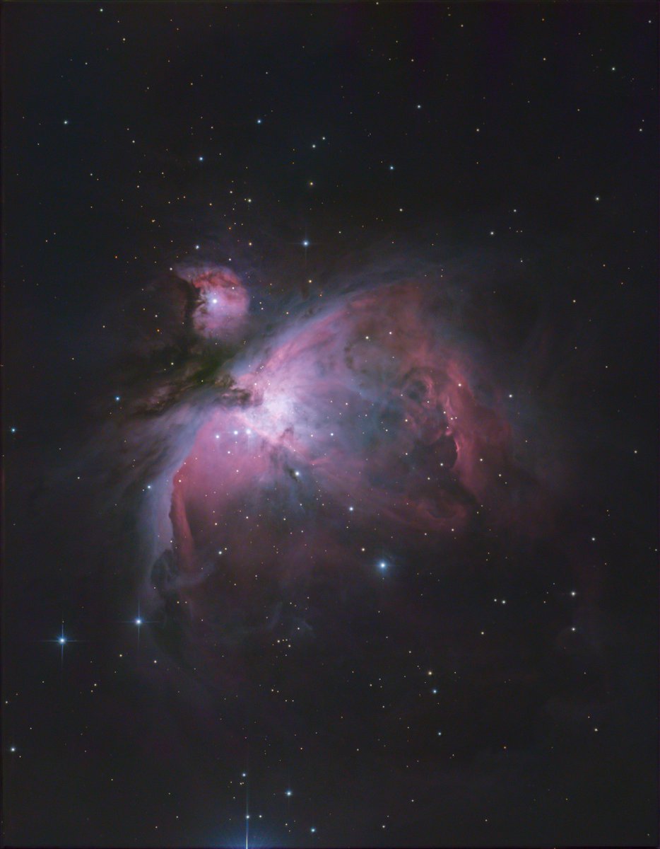 がんま tweet media