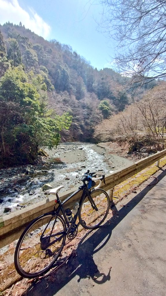 ゆるっと@サイクリング tweet media