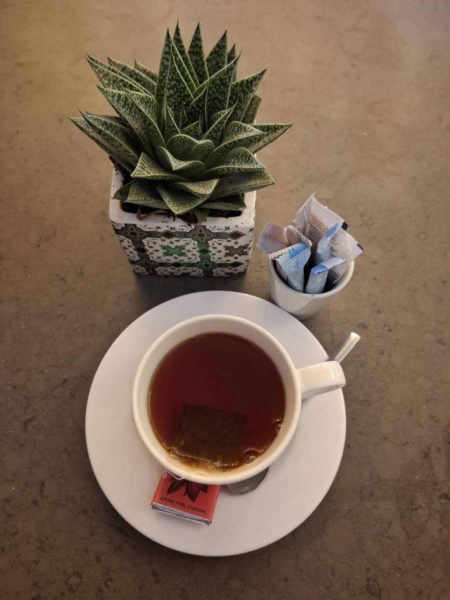 Dunia De Windt tweet media