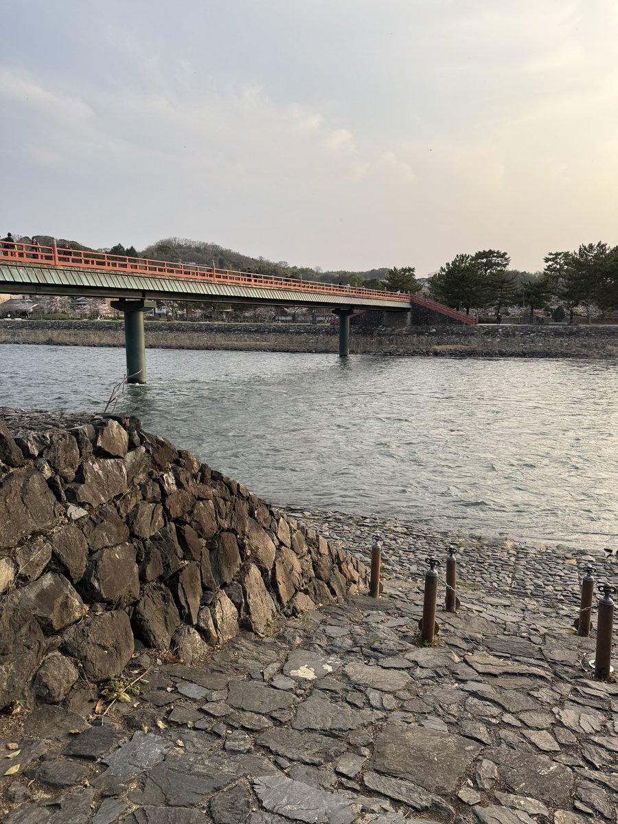 いんてぐらる∮ tweet media