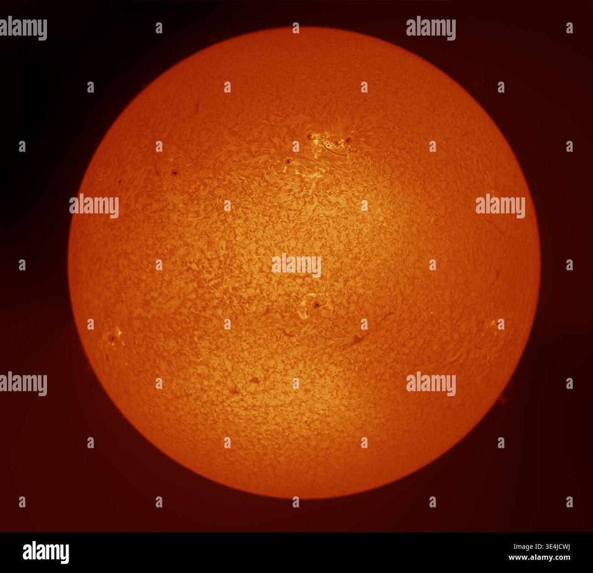 Malcolm Park tweet media