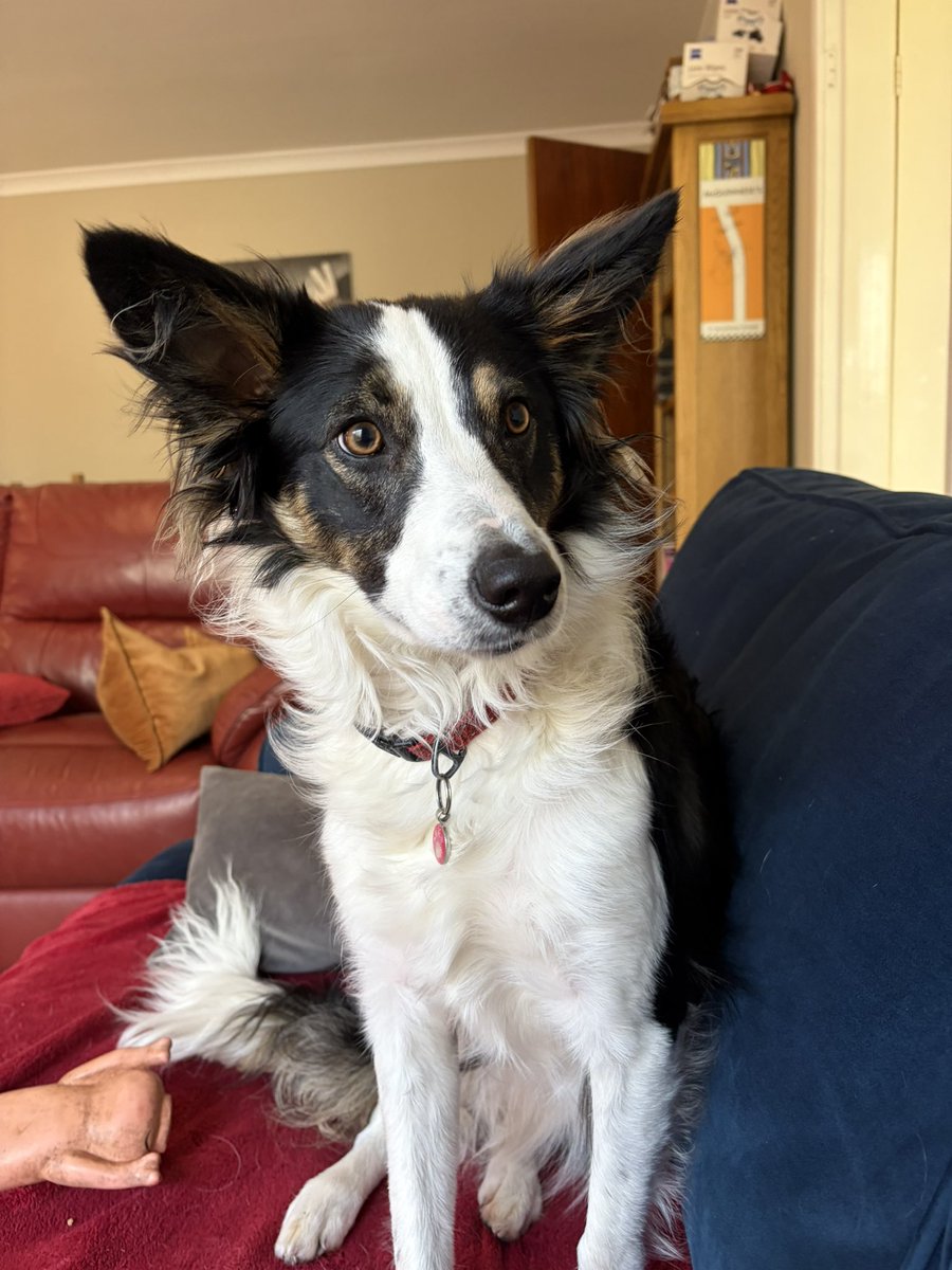 ☠️ Matt 👾 tweet media