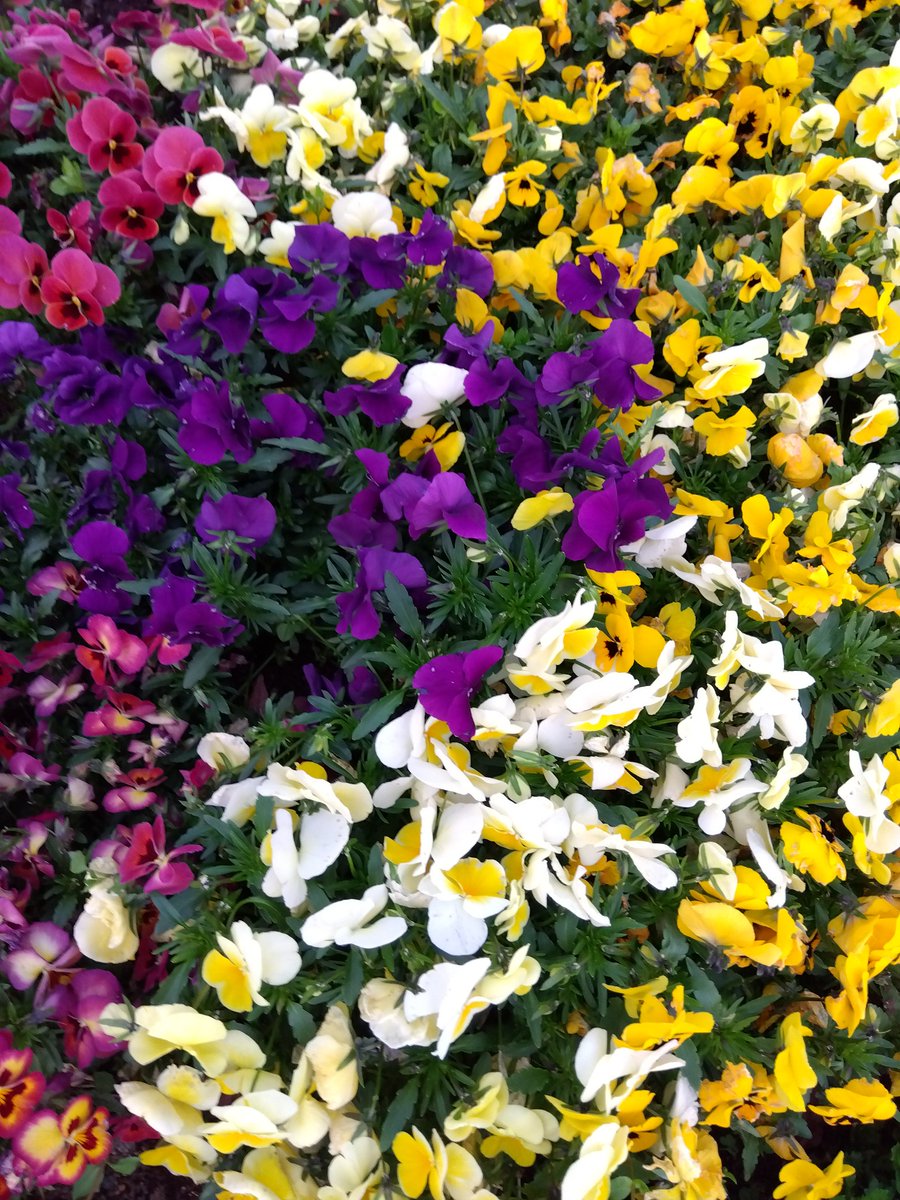 きゅえ tweet media