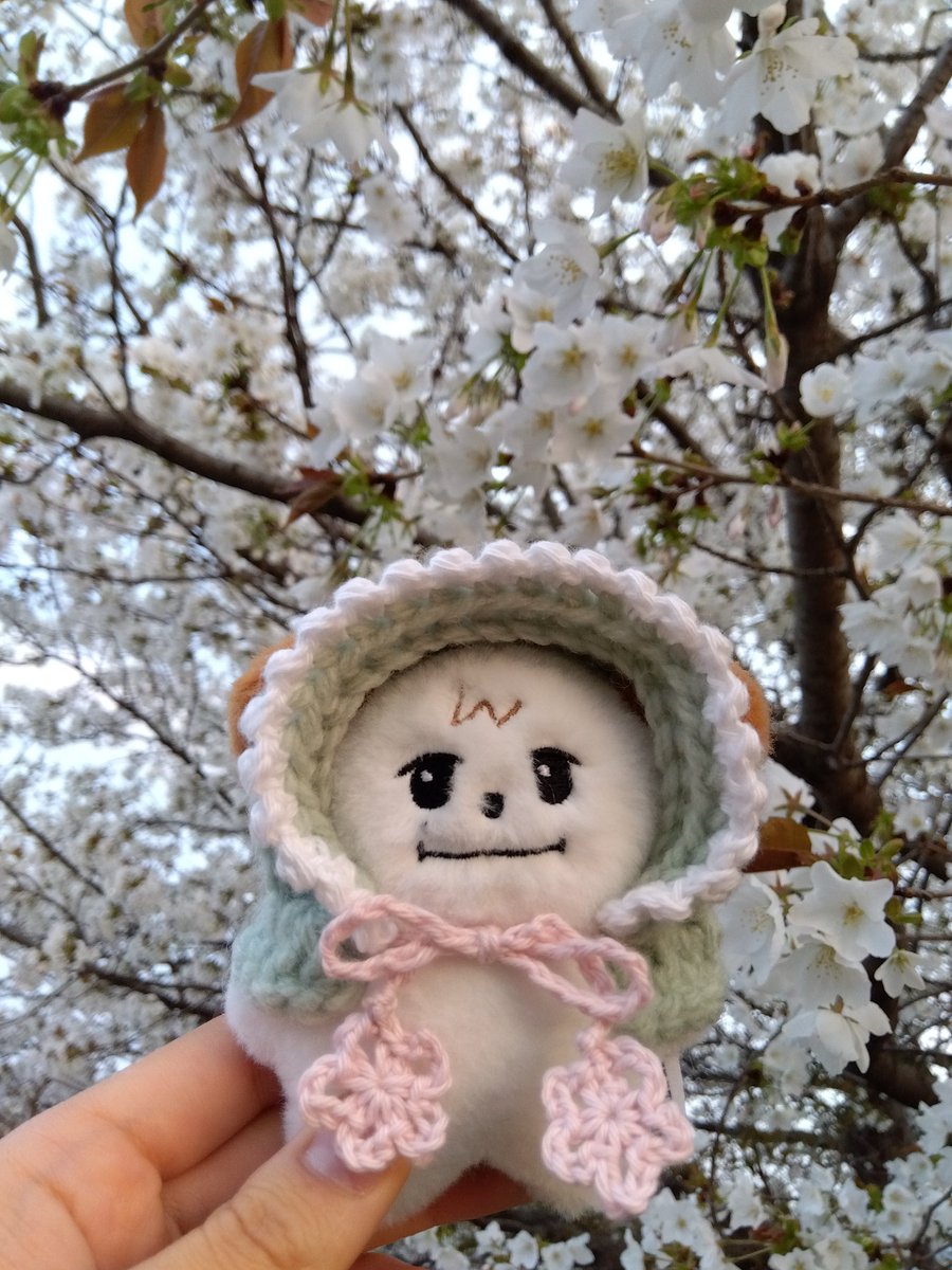 きゅえ tweet media