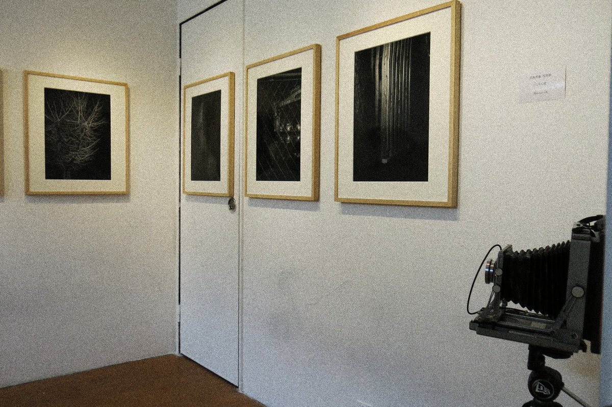 ライムライト写真展などのお知らせ tweet media