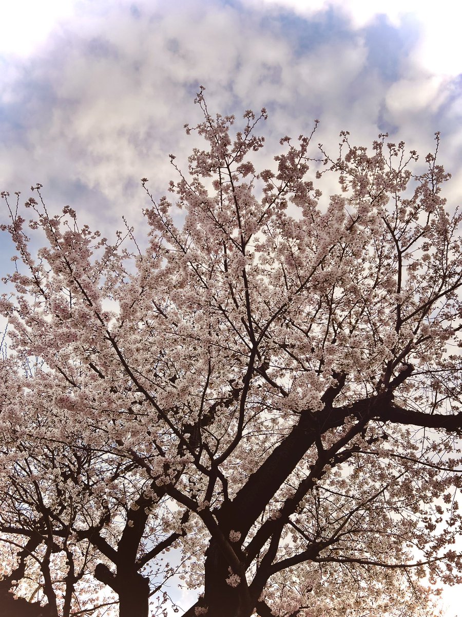 町田昌弘 tweet media