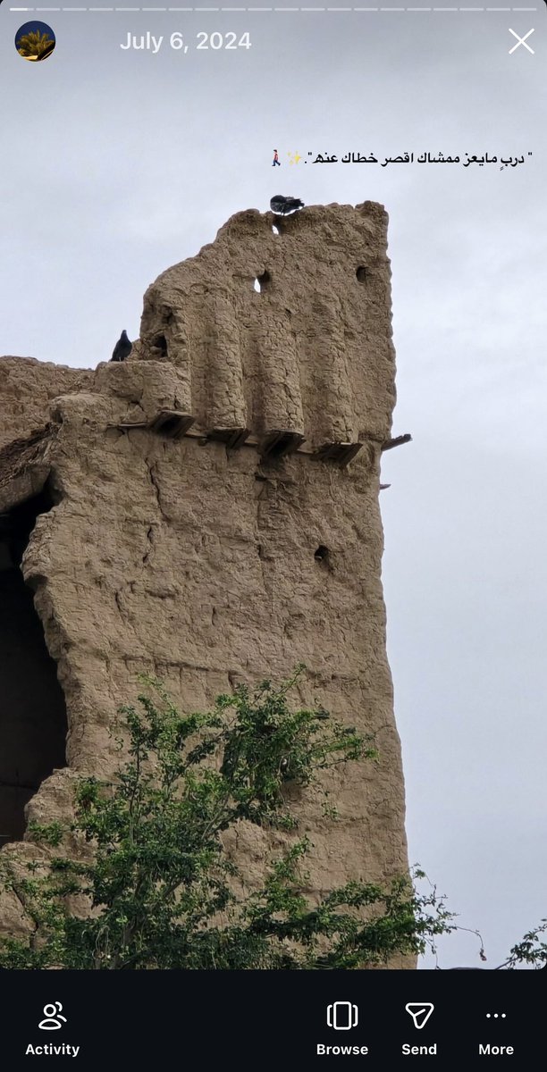 برجنيف tweet media