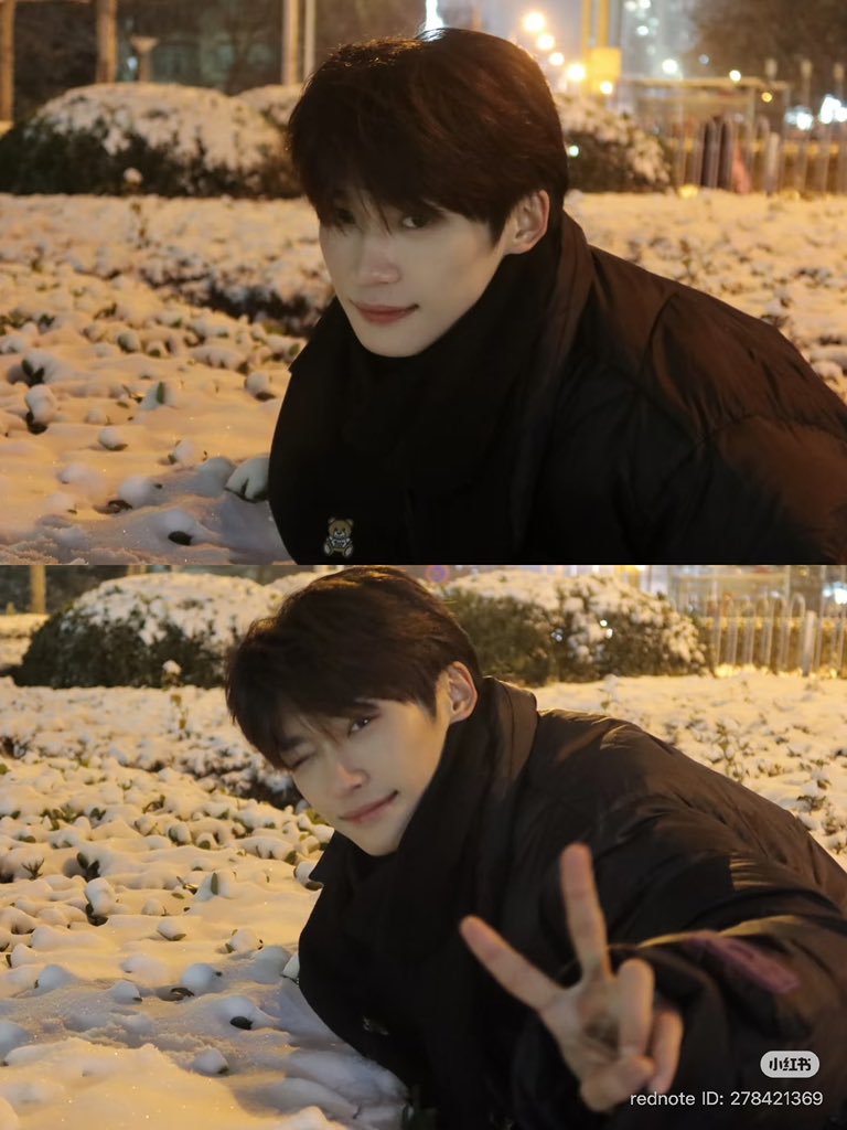 Daily Ziyu 🔮 tweet media