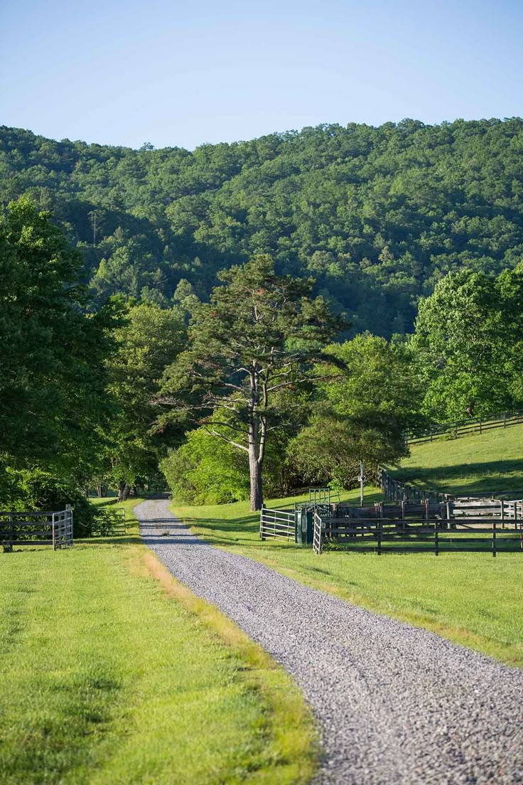 GilbertBelion's tweet photo. This is the kind of driveway I’d love to have at my place someday. https://t.co/GVOFRCxTJw