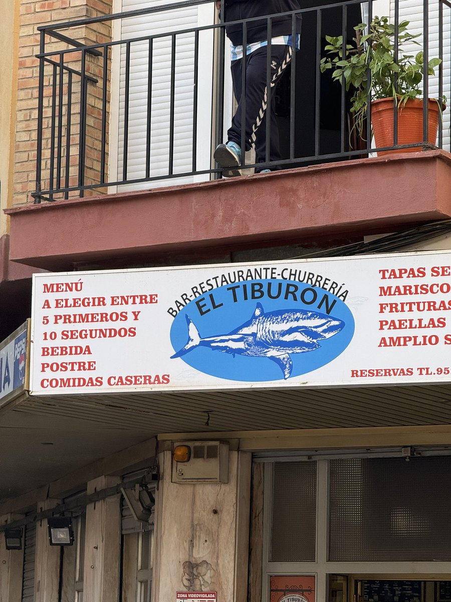 el mixtolobo tweet media