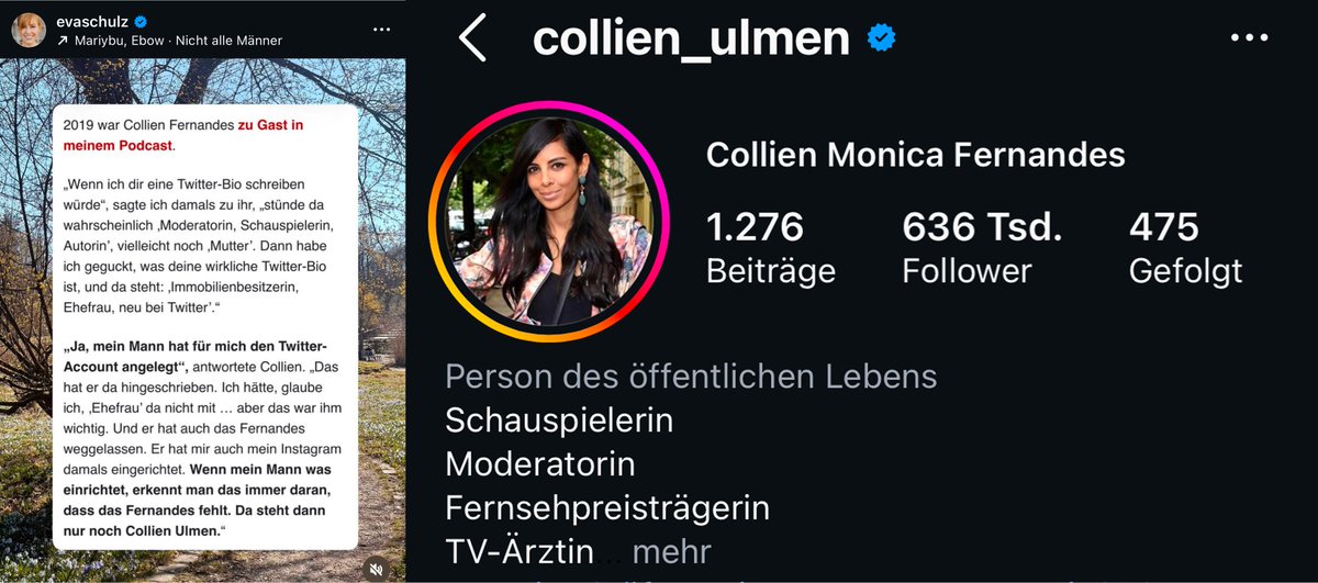 Critical Cat | tweet media