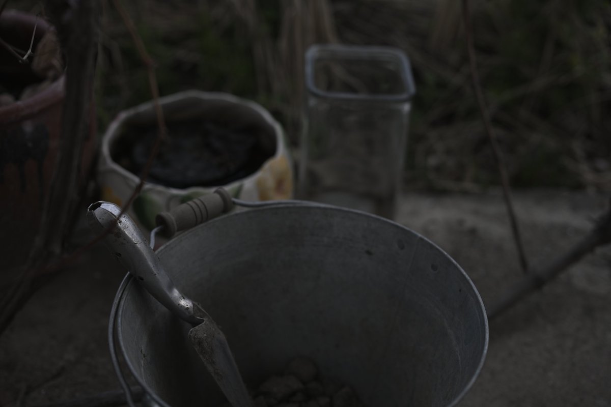 しょう tweet media