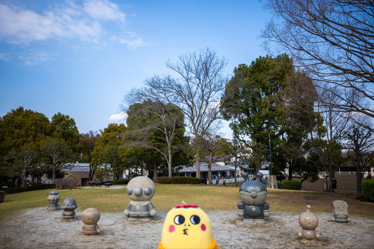 tohoho4431's tweet photo. 今日はジロきち連れて府中を散歩。綺麗な花をたくさん見れて楽しかったです https://t.co/EuLzp2XPMS