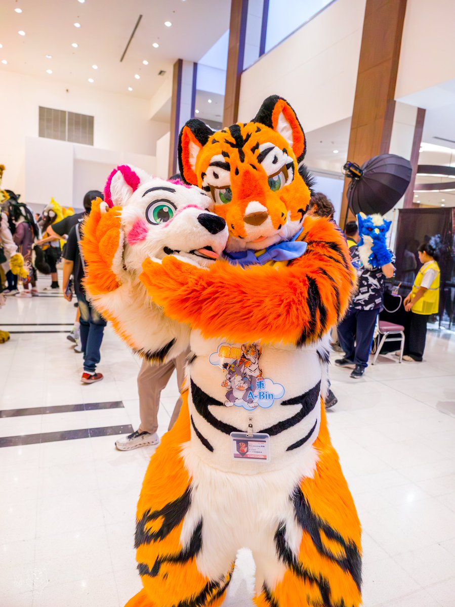 燒餅_shaobing🔜UTFG2026 tweet media