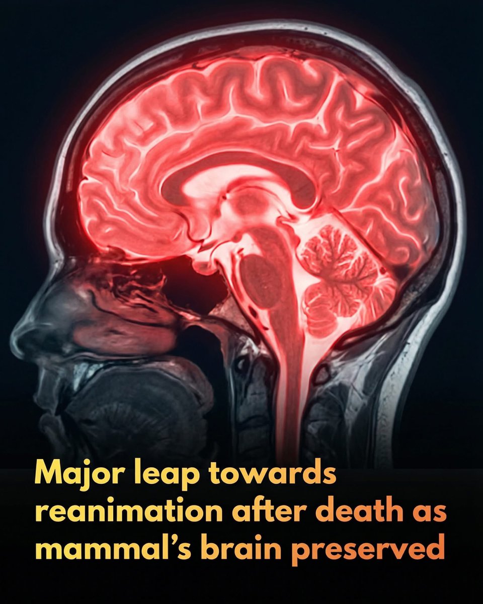 Shining Science tweet media