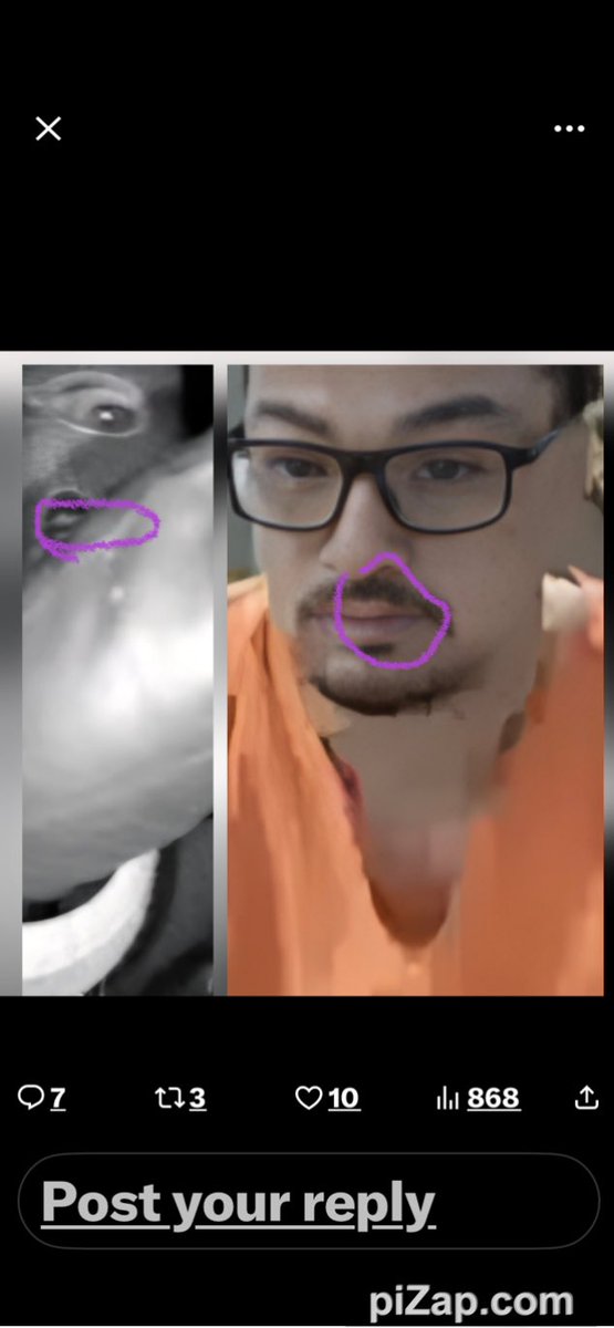 Transitlady🌻 tweet media